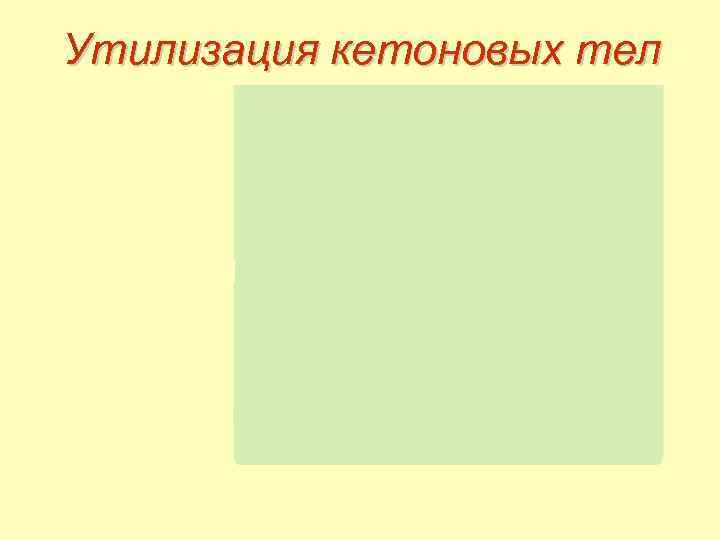 Утилизация кетоновых тел 