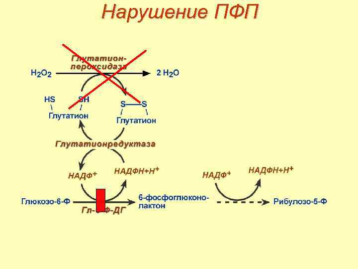 Пфп с схема