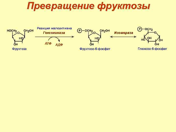 Превращение фруктозы 