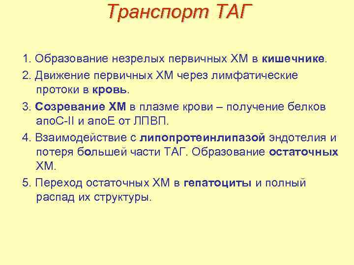 Транспорт ТАГ 1. Образование незрелых первичных ХМ в кишечнике. 2. Движение первичных ХМ через