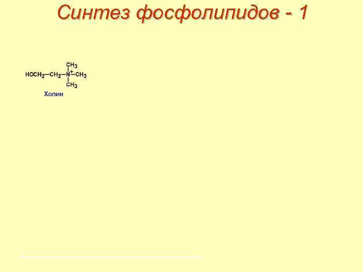 Синтез фосфолипидов - 1 