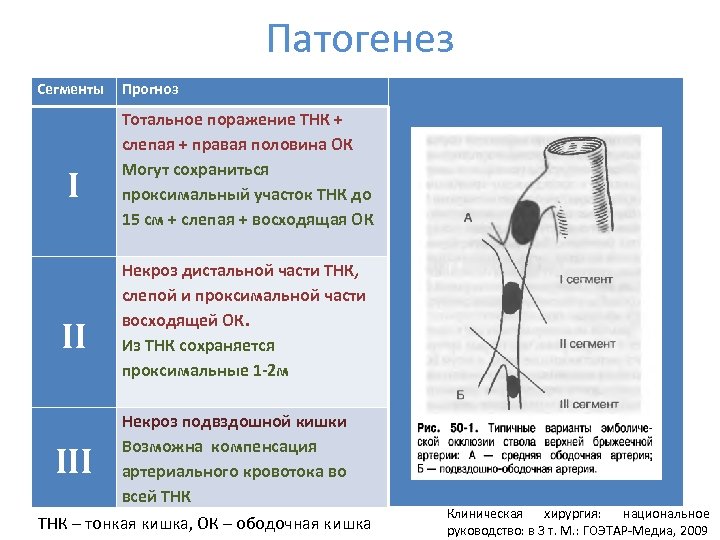Патогенез Сегменты I II Прогноз Тотальное поражение ТНК + слепая + правая половина ОК