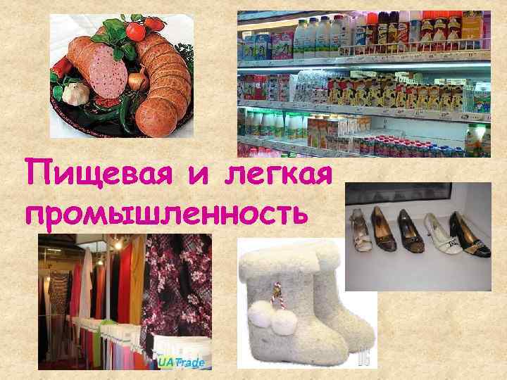 Пищевая и легкая промышленность 