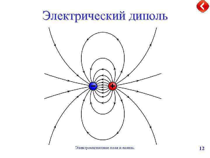 Картина силовых линий диполя