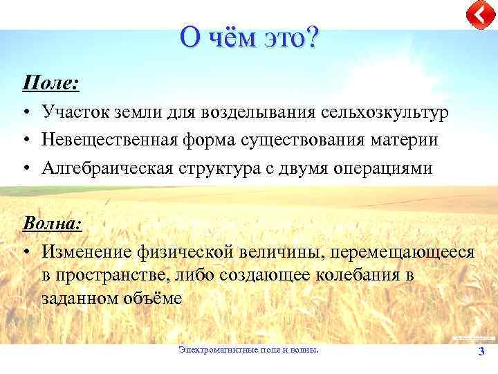 О чём это? Поле: • Участок земли для возделывания сельхозкультур • Невещественная форма существования