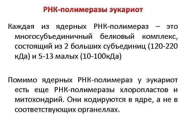 РНК-полимеразы эукариот Каждая из ядерных РНК-полимераз – это многосубъединичный белковый комплекс, состоящий из 2