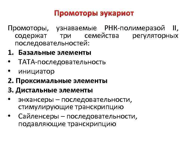 Промоторы эукариот Промоторы, узнаваемые РНК-полимеразой II, содержат три семейства регуляторных последовательностей: 1. Базальные элементы