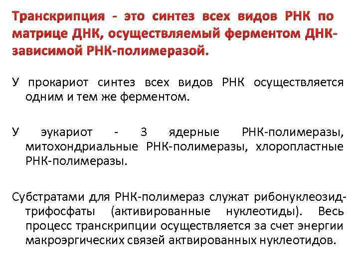 Транскрипция - это синтез всех видов РНК по матрице ДНК, осуществляемый ферментом ДНКзависимой РНК-полимеразой.