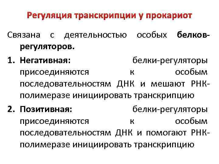 Регуляция транскрипции у прокариот Связана с деятельностью особых белковрегуляторов. 1. Негативная: белки-регуляторы присоединяются к