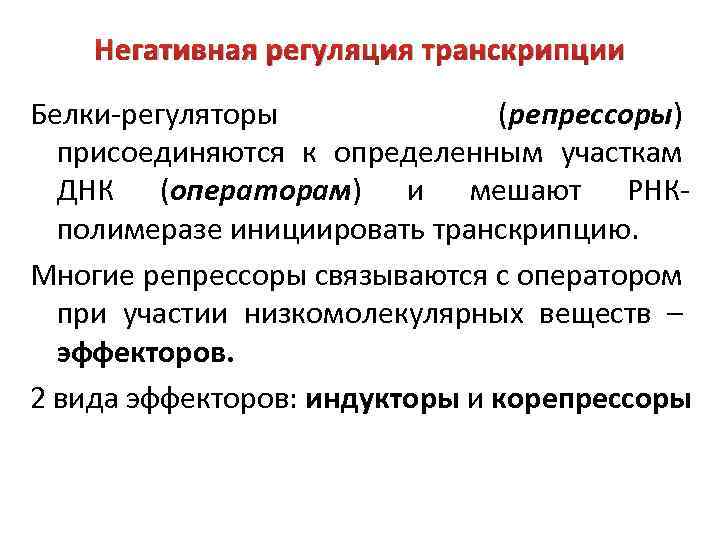 Негативная регуляция транскрипции Белки-регуляторы (репрессоры) присоединяются к определенным участкам ДНК (операторам) и мешают РНКполимеразе