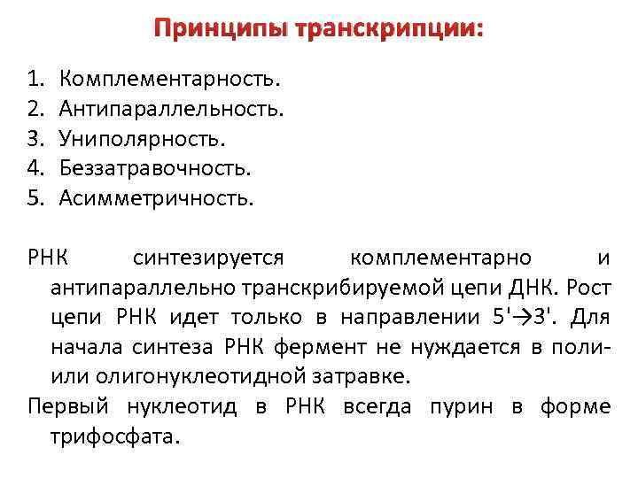 Используются транскрипция. Принципы транскрипции. Принципы транскрипции в биологии. Принципы транскрипции ДНК. Принципы транскрипции антипараллельность.