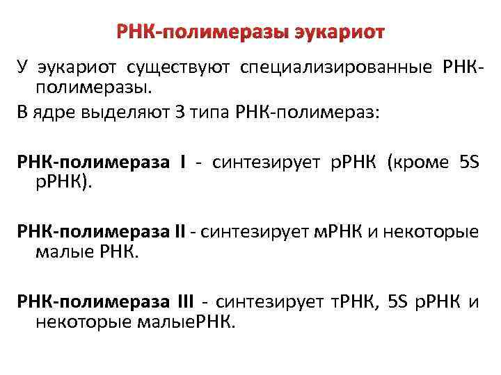 РНК-полимеразы эукариот У эукариот существуют специализированные РНКполимеразы. В ядре выделяют 3 типа РНК-полимераз: РНК-полимераза