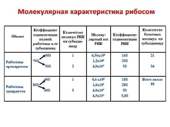 Свойства молекулярной