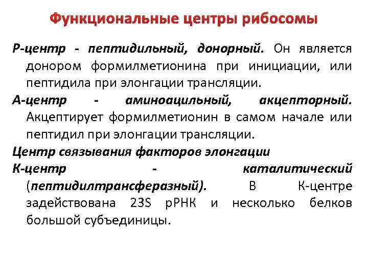 Функциональные центры рибосомы Р-центр - пептидильный, донорный. Он является донором формилметионина при инициации, или