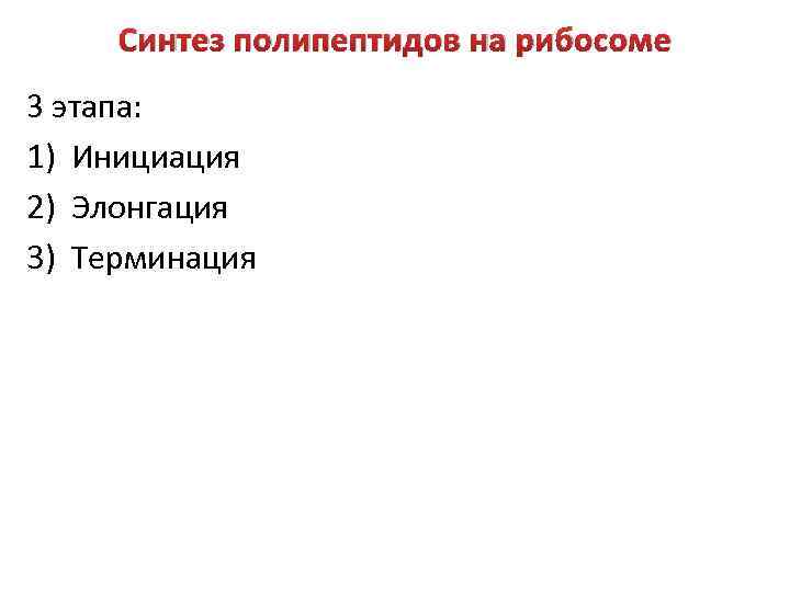 Синтез полипептидов на рибосоме 3 этапа: 1) Инициация 2) Элонгация 3) Терминация 