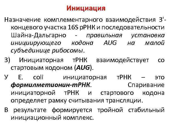 Инициация Назначение комплементарного взаимодействия 3'концевого участка 16 S р. РНК и последовательности Шайна-Дальгарно -