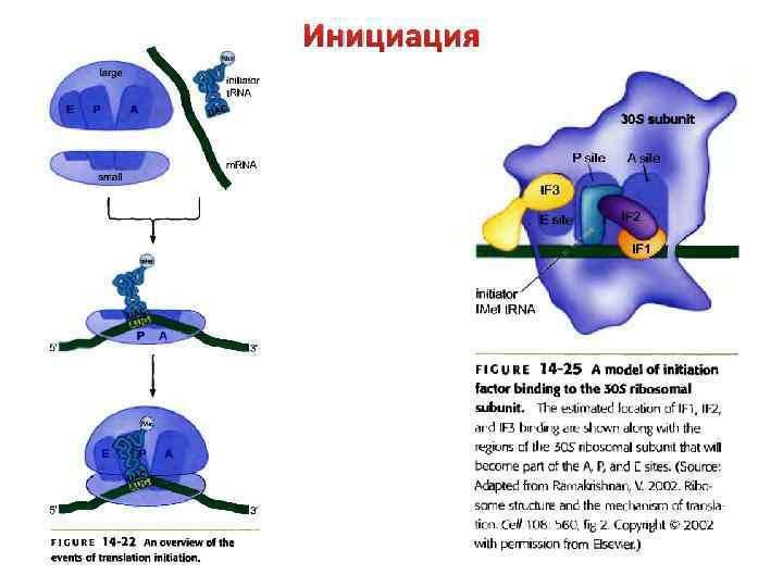 Инициация 