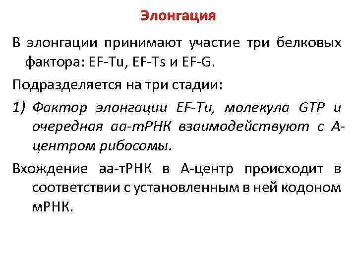 Элонгация В элонгации принимают участие три белковых фактора: EF-Tu, EF-Ts и EF-G. Подразделяется на