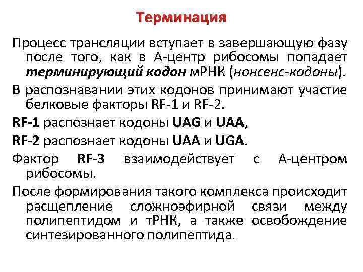 Терминация Процесс трансляции вступает в завершающую фазу после того, как в А-центр рибосомы попадает