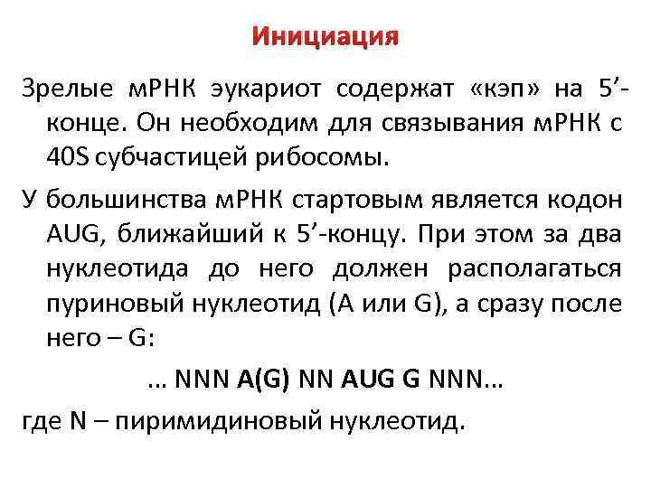 Инициация Зрелые м. РНК эукариот содержат «кэп» на 5’конце. Он необходим для связывания м.