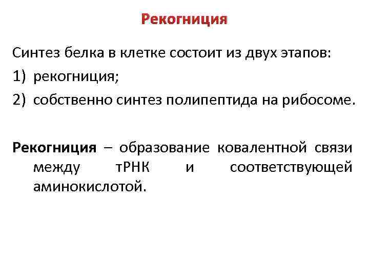 Рекогниция Синтез белка в клетке состоит из двух этапов: 1) рекогниция; 2) собственно синтез