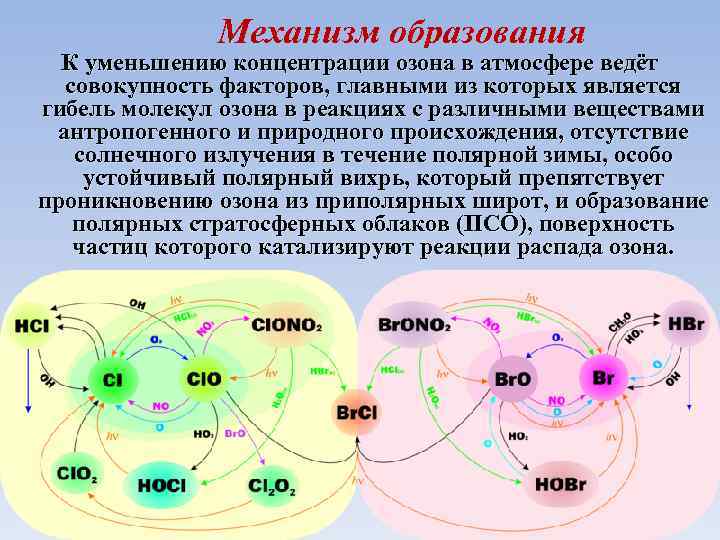 Механизм образования К уменьшению концентрации озона в атмосфере ведёт совокупность факторов, главными из которых