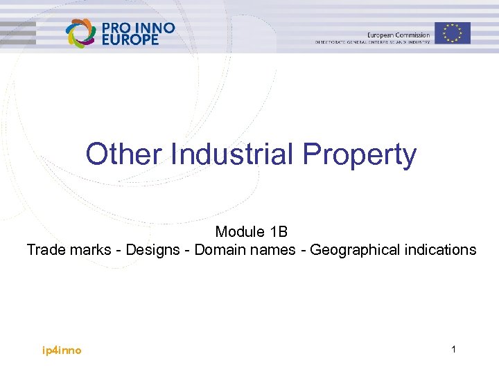 Other Industrial Property Module 1 B Trade marks - Designs - Domain names -