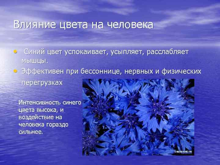 Влияние цвета на человека • Синий цвет успокаивает, усыпляет, расслабляет • мышцы. Эффективен при