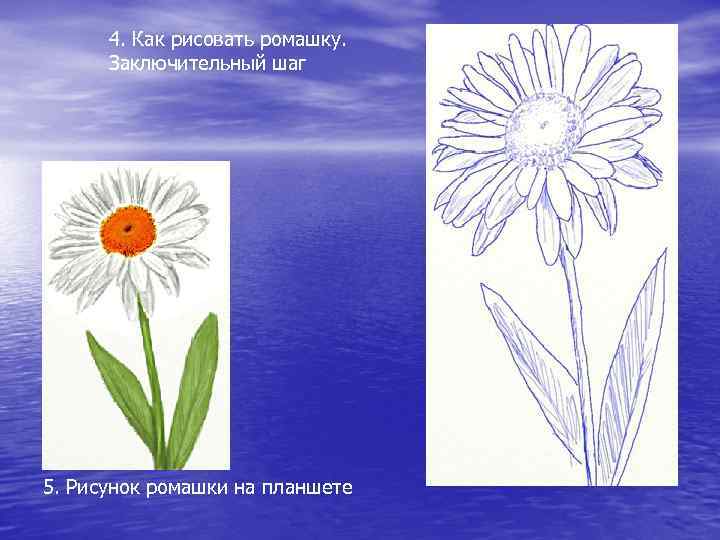 4. Как рисовать ромашку. Заключительный шаг 5. Рисунок ромашки на планшете 