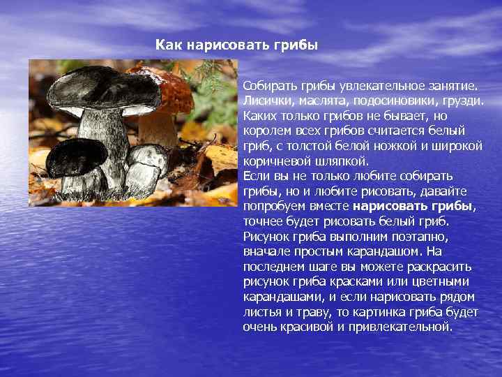 Как нарисовать грибы Собирать грибы увлекательное занятие. Лисички, маслята, подосиновики, грузди. Каких только грибов