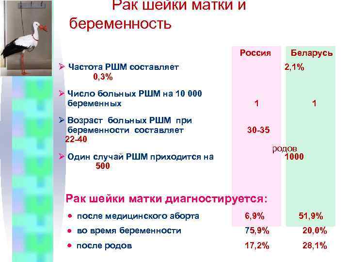 Рак шейки матки и беременность Россия Ø Частота РШМ составляет 2, 1% 0, 3%