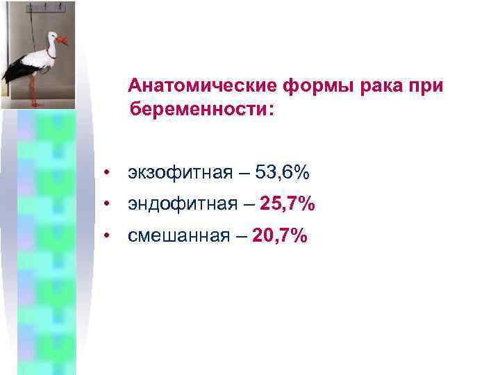 Анатомические формы рака при беременности: • экзофитная – 53, 6% • эндофитная – 25,