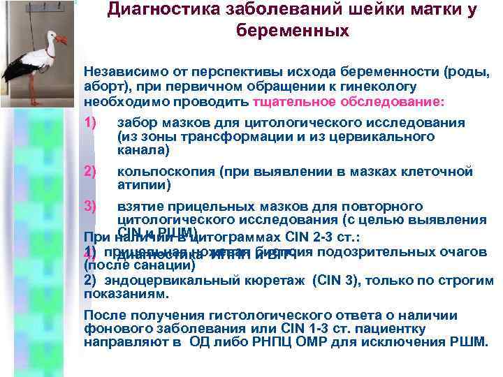 Диагностика заболеваний шейки матки у беременных Независимо от перспективы исхода беременности (роды, аборт), при