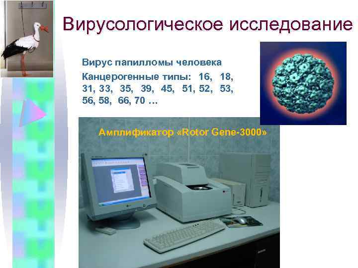 Вирусологическое исследование Вирус папилломы человека Канцерогенные типы: 16, 18, 31, 33, 35, 39, 45,