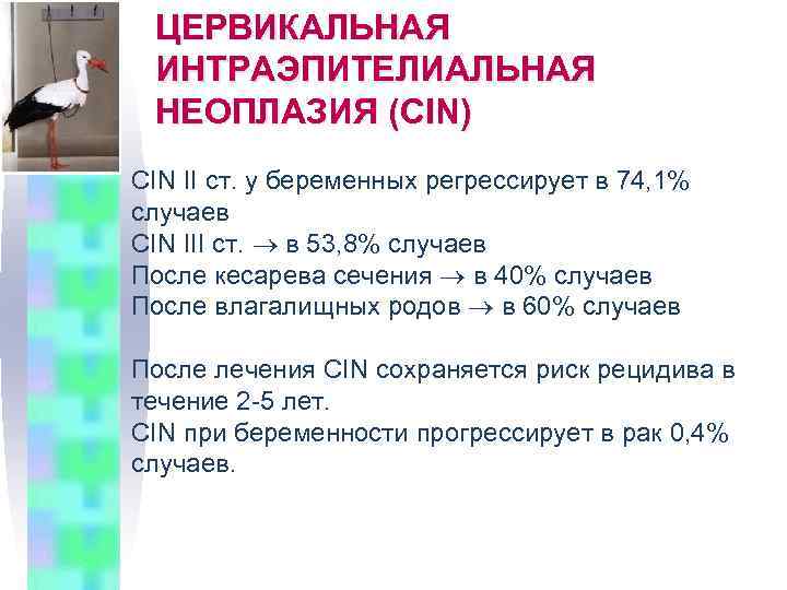 Неоплазия это. Цервикальная интраэпителиальная неоплазия. Цервикальная интраэпителиальная неоплазия (Cin). Зеркальная интраэпителиальная неоплазия. Слабая цервикальная интраэпителиальная неоплазия что это.