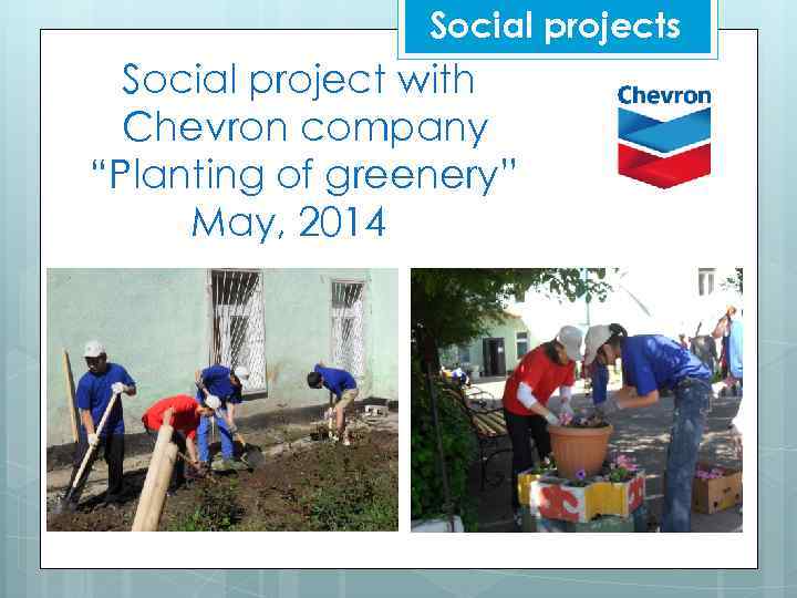 Social projects Social project with Chevron company “Planting of greenery” May, 2014 
