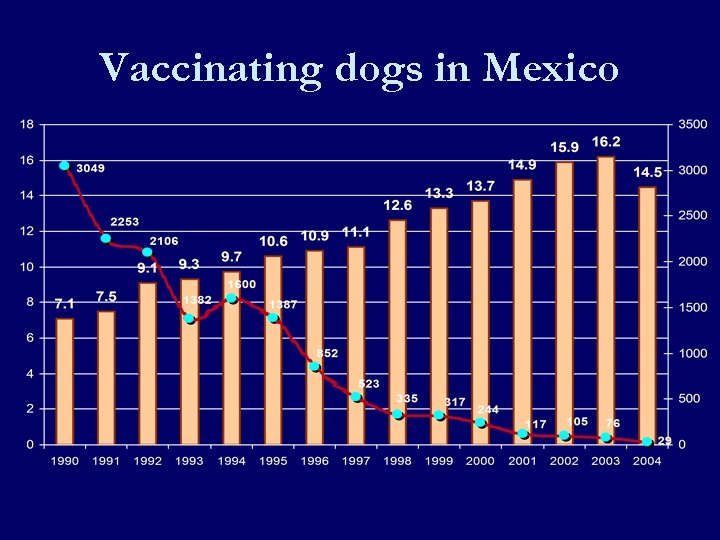 Vaccinating dogs in Mexico 