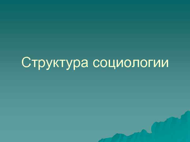 Структура социологии 