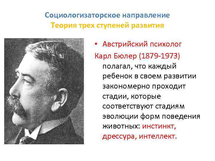 Социологизаторское направление Теория трех ступеней развития • Австрийский психолог Карл Бюлер (1879 1973) полагал,