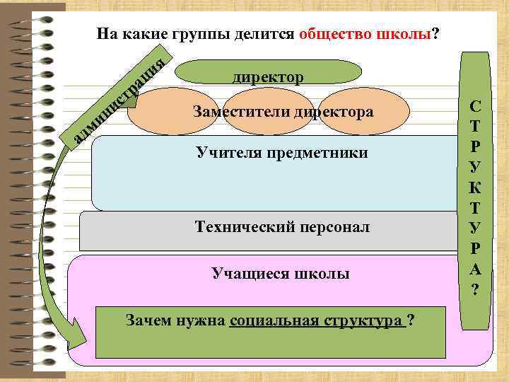 На какие группы делится общество школы? ра ия ц ст и ад ин м