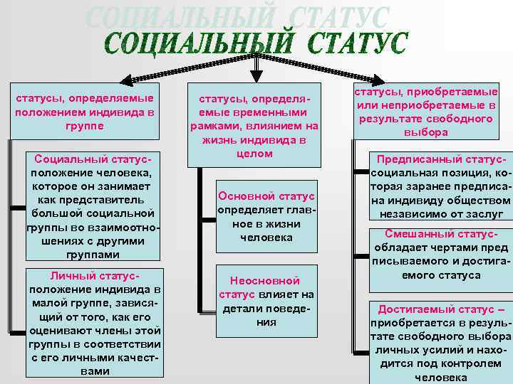 статусы, определяемые положением индивида в группе Социальный статусположение человека, которое он занимает как представитель