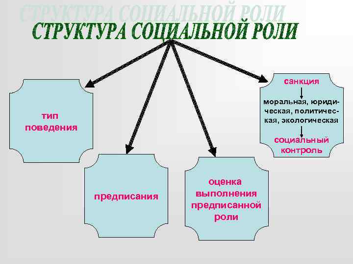 санкция моральная, юридическая, политическая, экологическая тип поведения социальный контроль предписания оценка выполнения предписанной роли