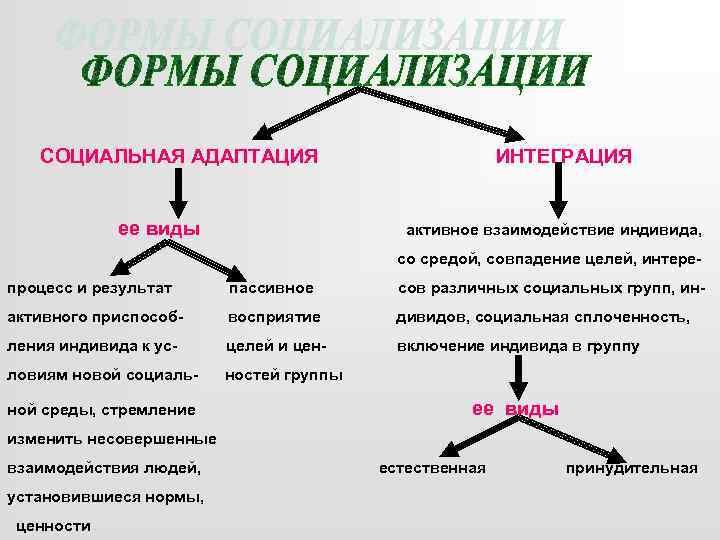 СОЦИАЛЬНАЯ АДАПТАЦИЯ ее виды ИНТЕГРАЦИЯ активное взаимодействие индивида, со средой, совпадение целей, интере- процесс