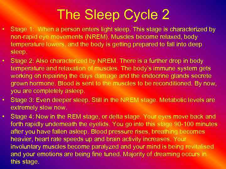 The Sleep Cycle 2 • Stage 1: When a person enters light sleep. This