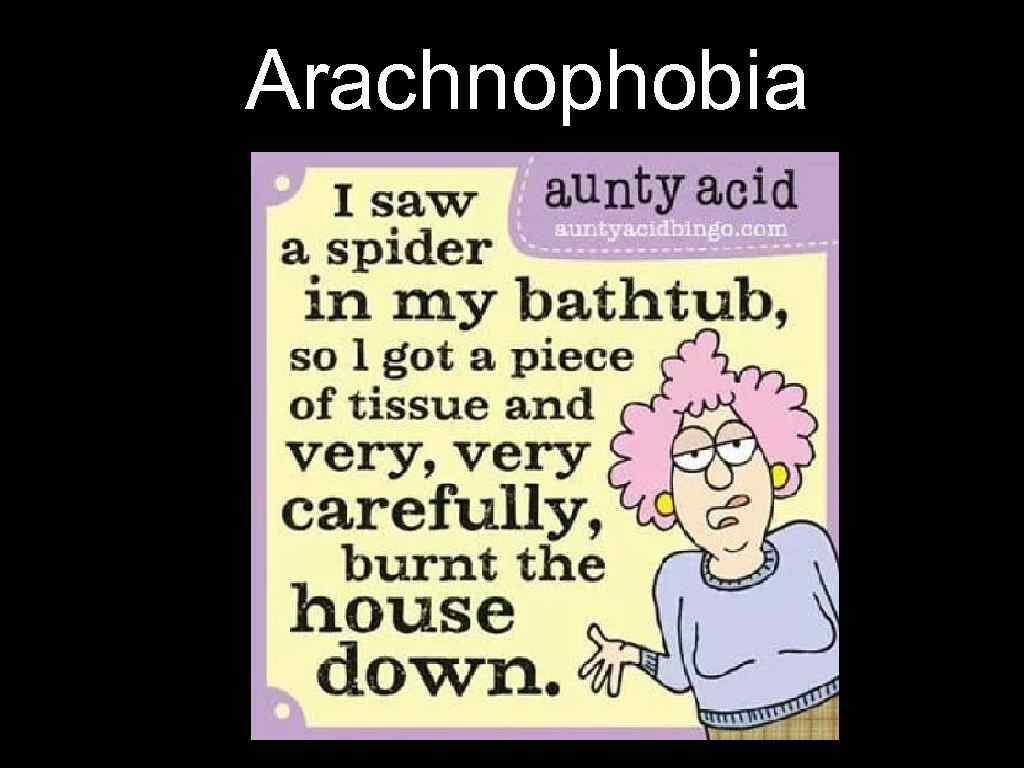 Arachnophobia 