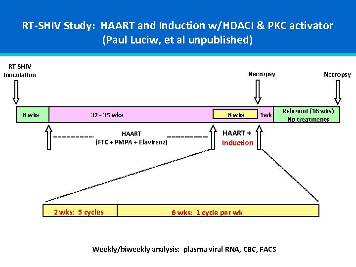 RT-SHIV Study: HAART and Induction w/HDACI & PKC activator (Paul Luciw, et al unpublished)
