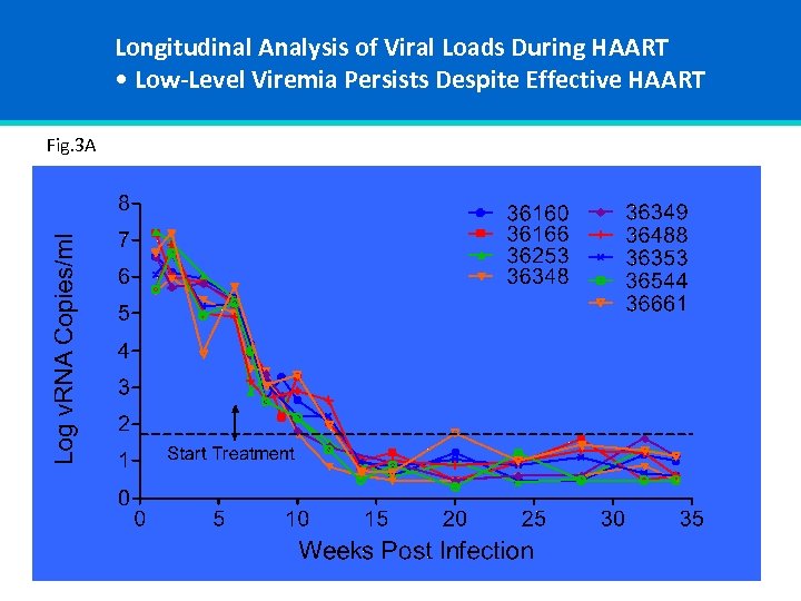Longitudinal Analysis of Viral Loads During HAART • Low-Level Viremia Persists Despite Effective HAART