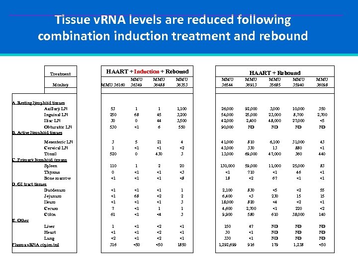 Tissue v. RNA levels are reduced following combination induction treatment and rebound Treatment Monkey