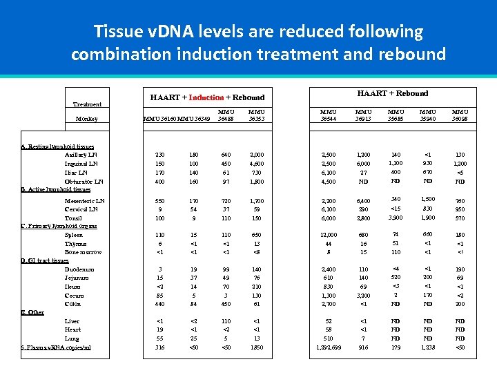 Tissue v. DNA levels are reduced following combination induction treatment and rebound Treatment Monkey