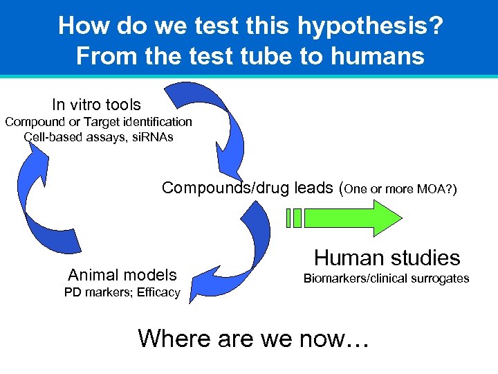 How do we test this hypothesis? From the test tube to humans In vitro